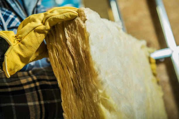 Best Best Insulation Companies  in Cleary, MS