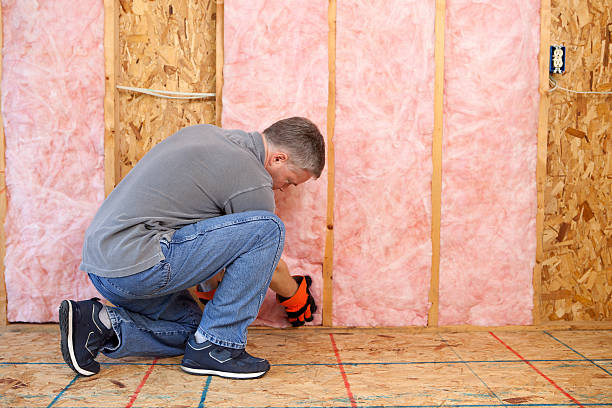 Best Attic Insulation Installation  in Cleary, MS