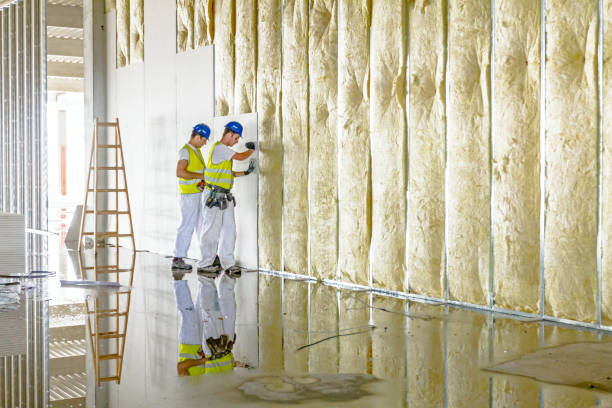 Best Insulation Repair Services  in Cleary, MS